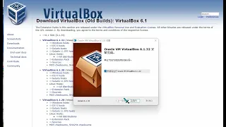 VM VBox 6.1 version part in Windows BSOD crash sound test