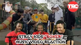 Stray Kids "Boxer" (Street Ver.) Music Video Reaction