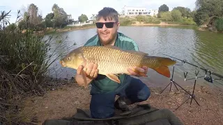 One Carp Wonder Rosendal dam ( cape Town, South Africa)