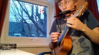 That's Life - Frank Sinatra cover on Ukulele and Harmonica