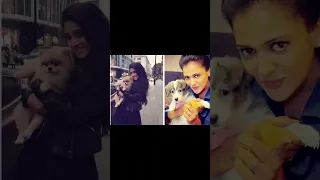 Gulki Joshi VS Shivangi Joshi(Part 2)with cute animals😍Naira & Haseena | Maddam sir | yrkkh#gulvangi