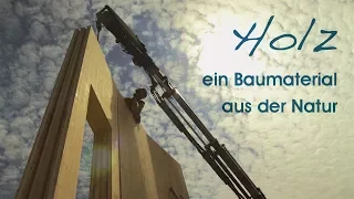 Holzwissen - Eigenschaften und Anwendungen