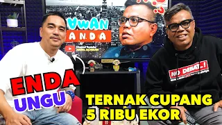 ENDA UNGU - TERNAK CUPANG 5 RIBU EKOR