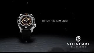 Видео обзор наручных часов Steinhart