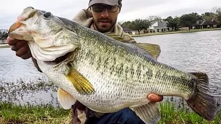 BASS OF A LIFETIME hits RIGHT at the BANK!!!