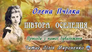 "Півтора оселедця"(1908), Олена Пчілка. Слухаємо українське!