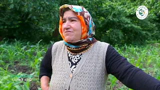 Beykoz'un Renkleri: Kastamonu Cide Çilekçe Köyü