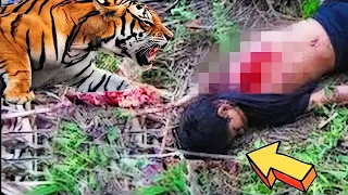 Tiger Attack Human | Most Extreme Deadly Animal Attacks on Humans (Caught on camera)