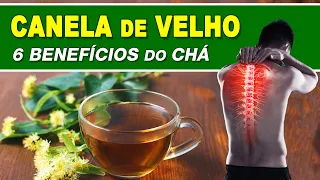 6 Benefícios do CHÁ de CANELA DE VELHO - Como Fazer e Tomar CERTO! (Inflamação, Dores e Mais)