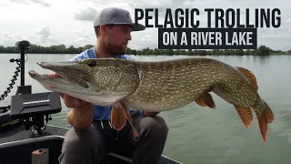 Pelagic Trolling for Northern Pike on a River Lake