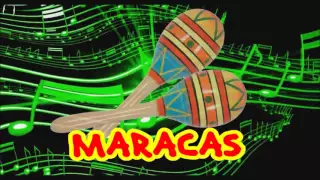 MARACAS Musical Instrument Sounds Preschool Kindergarten