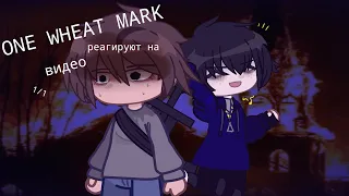 | ONE WHEAT MARK | реагируют на видео | 1/1 |