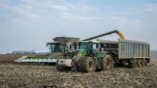 Corn harvest  in spring 2020 !!! 2x Claas Lexion 780 TT & 4x Fendt