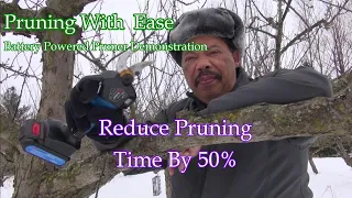 Pruning With Ease - A Battery Powered Pruner Demonstration