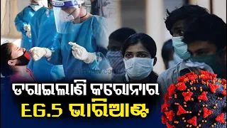 Global Covid-19 cases see 80% rise amid concerns over new EG.5 variant ||  Kalinga TV