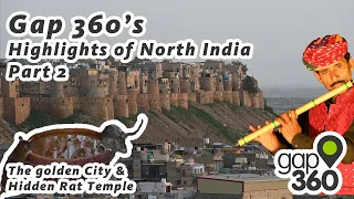 Gap 360's Highlights of North India - Bikaner Jaisalmer &  Famous Rat temple