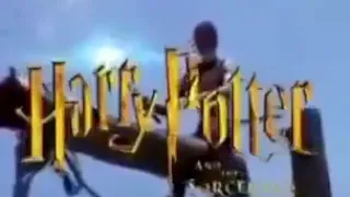 Real Harry potter caught on camera