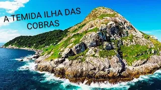 A ILHA MAIS PERIGOSA DO MUNDO FICA NO BRASIL, ILHA DAS COBRAS.