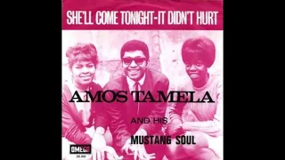 Amos Tamela and his Mustang Soul - She'll come tonight (Nederbeat) | (Amersfoort) 1968