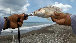 Hunting Snook, found a Snapper for dinner 🇯🇲