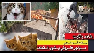 في إيطاليا  افريقي  يشوي قط 🐈 في الشارع العام  وفي واضحة النهار