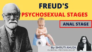 The Anal Stage | Freud's Psychosexual Stages