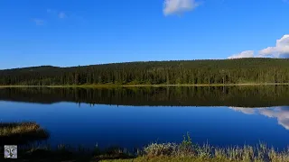 Horned grebe,Horndykker,Красношейная поганка,Grèbe esclavon,Ohrentaucher,Kuifduiker,Podiceps auritus