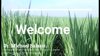 Row Rice Virtual Field Day welcome from  Dr. Salassi.