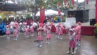 PreSchool Field Demo 2019