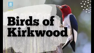 The untold history and legacy of Kirkwood's ornithologist, Robert Windsor Smith.