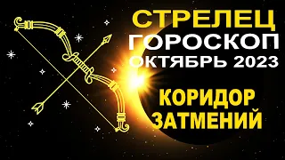 ♐Стрелец - гороскоп на октябрь 2023 ❗ Коридор затмений