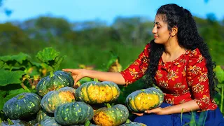 Floury pumpkins🎃!!Entire family enjoy every toothsome pumpkin dishes|Poorna-The nature girl|