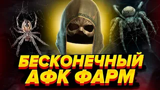 БЕСКОНЕЧНЫЙ АФК ФАРМ Diablo 4 |  Некромант Суммонер Диабло Фарм Шако