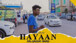 HAYAAN XALQADDA 13-AAD | "DHAMAAD"