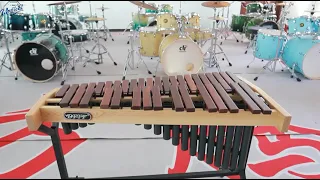 #marimba Multiple types of percussion instruments （marimba、xylophone、glockenspiel） manufacturer