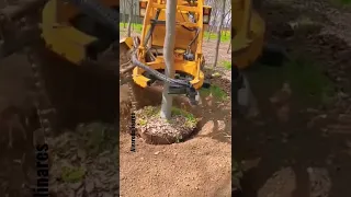 Cómo puedo transplantar un árbol. Máquina para transplantar un árbol.Jardinería industrial#shorts ￼