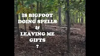 Is Bigfoot performing protection Spells on our property, and leaving gifts?