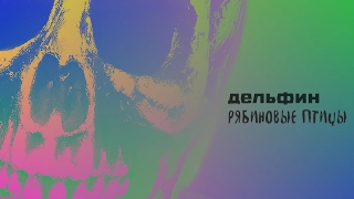 Дельфин - Рябиновые птицы