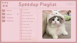 Playlist speed up đáng iu này là để mấy bạn học bài nè - 11 Giờ 11 Phút | Con Mèo Béo