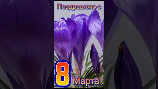 открытка с 8 Марта