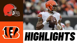 Deshaun Watson Highlights vs Bengals | NFL Week 14