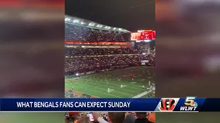 From light show to halftime show: What Bengals fans will see at Paycor Sunday