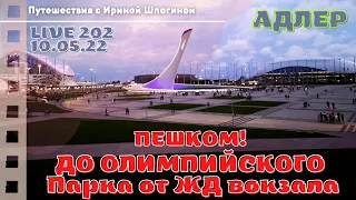 От ЖД Адлера до Олимпийского парка дошла пешком. Шоу фонтанов ⛲ LIVE 202