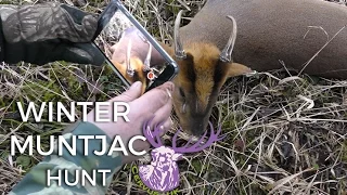 TRAILER: WINTER MUNTJAC HUNT