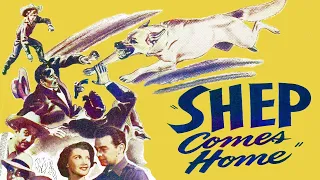 Shep Comes Home (1949) Family Drama | Robert Lowery, Margia Dean | Full Movie