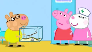 Um Dia nos Veterinários! | Peppa Pig Português Brasil Episódios Completos