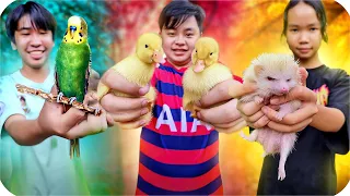 Tony | 1 Ngày Nuôi Thú Cưng 🦆 Tập 5