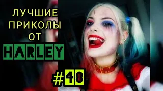 Лучшие приколы 2021 до слёз от Harley #48 ФЕВРАЛЬ