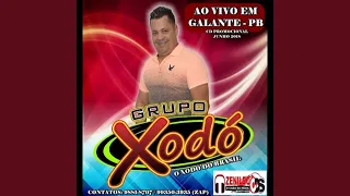 grupo xodó