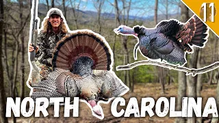 RIGHT OFF THE ROOST! - Public Land MOUNTAIN GOBBLER!